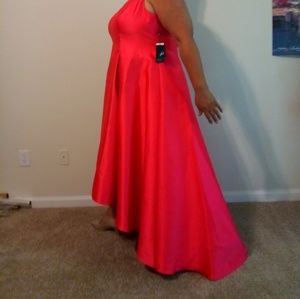 Adrianna Papell dress 22W